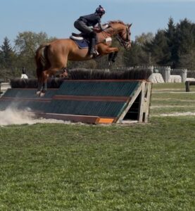 Eventing Coaching with Jonquil Hemming